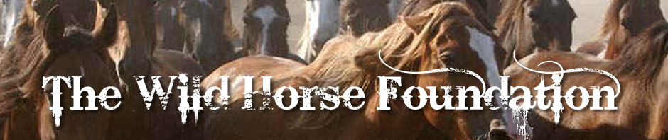 Wild Horse Foundation